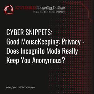 CYBERSnippets_GoodMouseKeepingPrivacy (3)