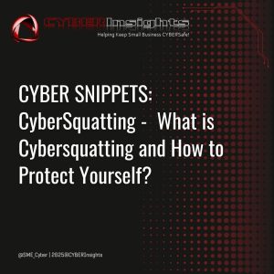 CoCYBERSnippets_CyberSquatting (2)