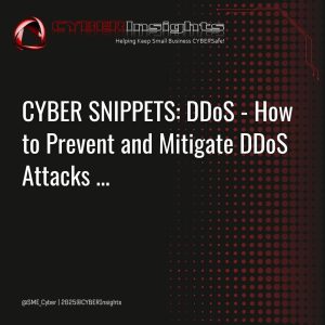 CyberSnippets_DDoS (1)