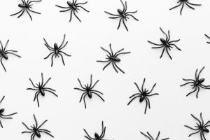 top-view-collection-creepy-spiders